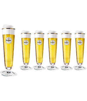 Tulipa Warsteiner - cx 6unids 200ml