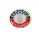 Pin Erdinger - formato logo